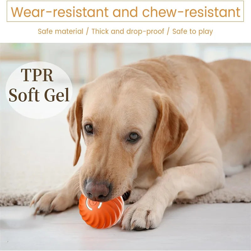 USB Smart Bouncing Toy Ball for Dogs & Cats
