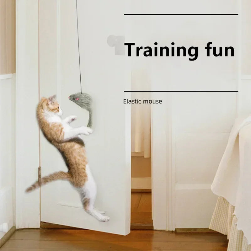 Self-Play Mouse Toy for Cats (Hangs on Door)