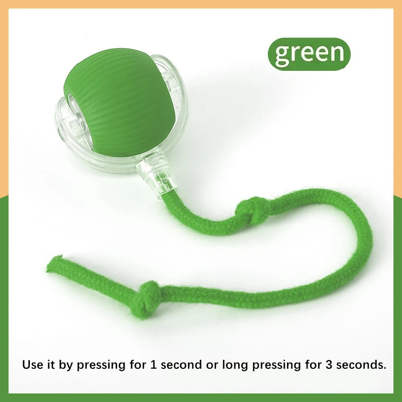 USB Smart Bouncing Toy Ball for Dogs & Cats