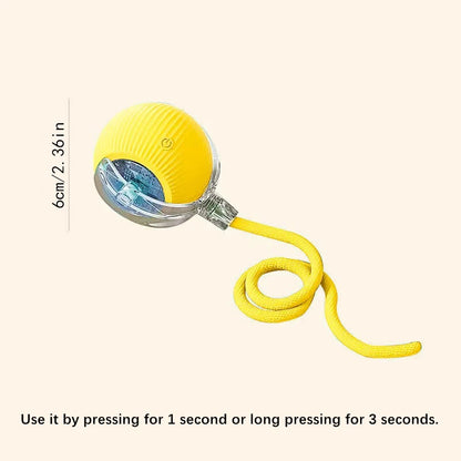 USB Smart Bouncing Toy Ball for Dogs & Cats