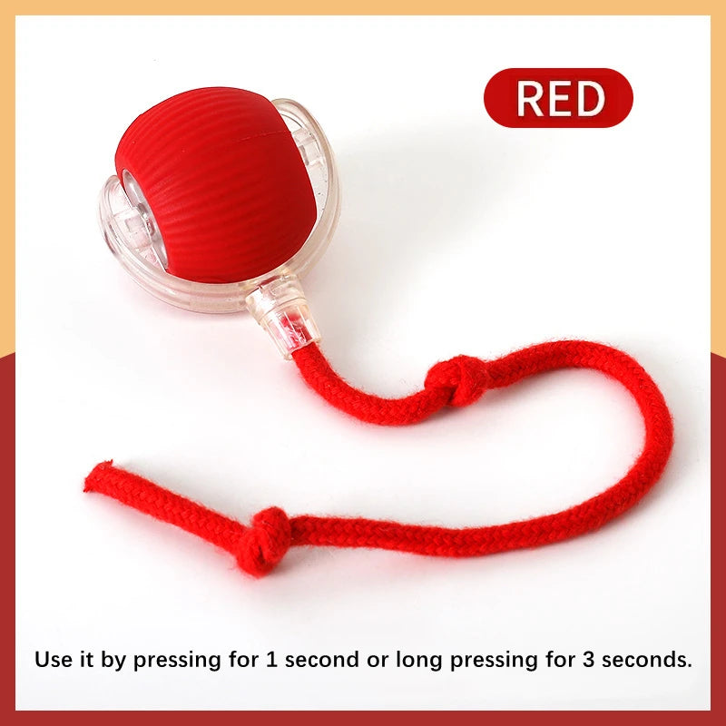 USB Smart Bouncing Toy Ball for Dogs & Cats