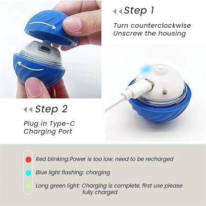 USB Smart Bouncing Toy Ball for Dogs & Cats