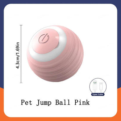 USB Smart Bouncing Toy Ball for Dogs & Cats