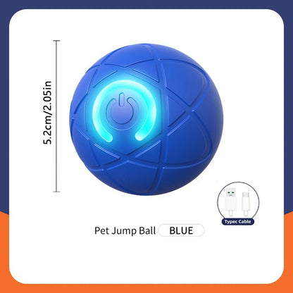 USB Smart Bouncing Toy Ball for Dogs & Cats