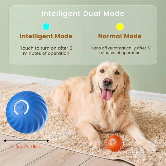 USB Smart Bouncing Toy Ball for Dogs & Cats