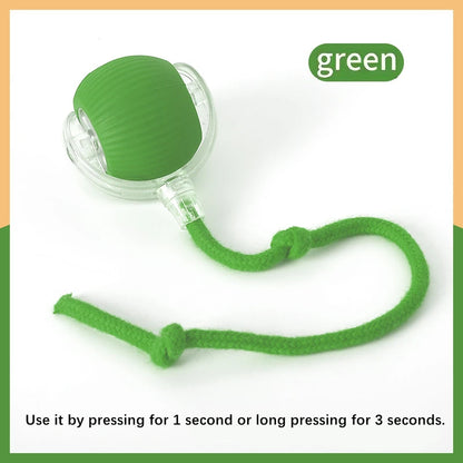 USB Smart Bouncing Toy Ball for Dogs & Cats
